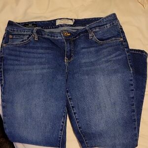 Torrid Skinny Jeans